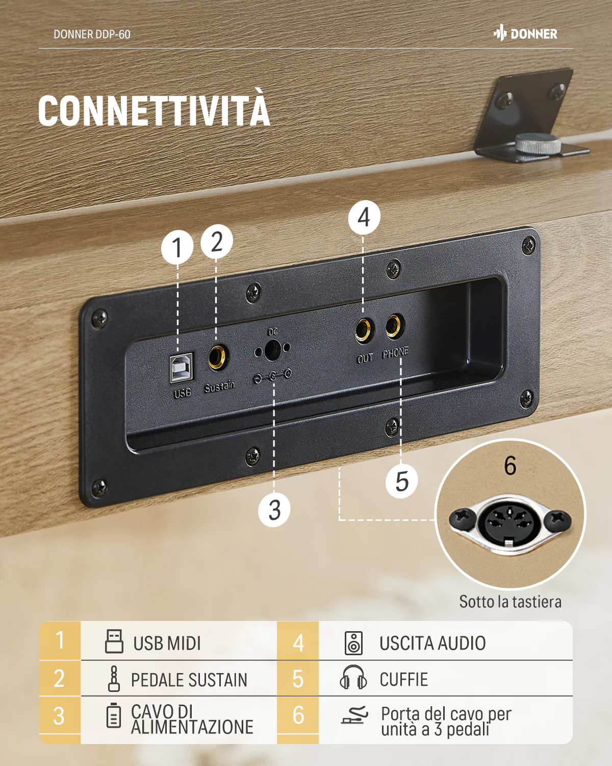 Donner DDP-60  tastiera semipesata - Image 15