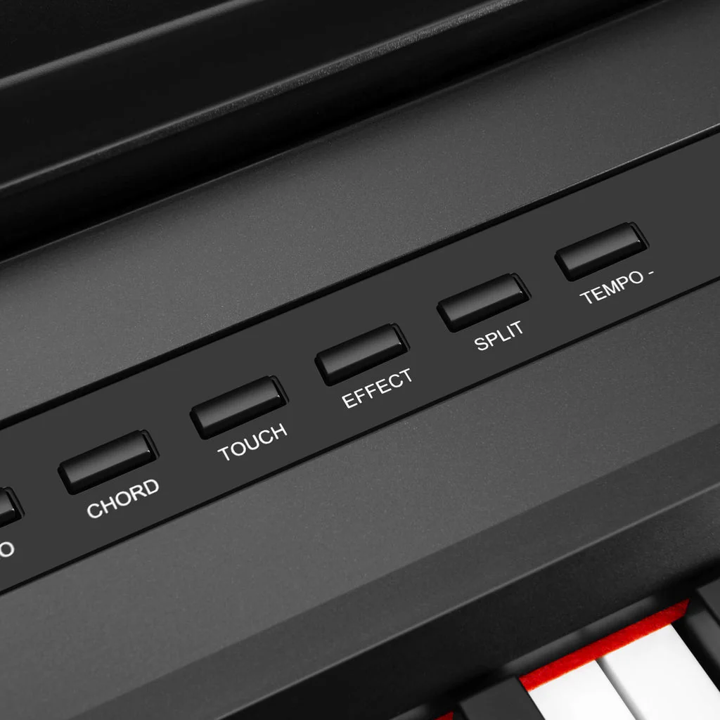 Donner DEP-20 Pianoforte digitale pesato - Image 16