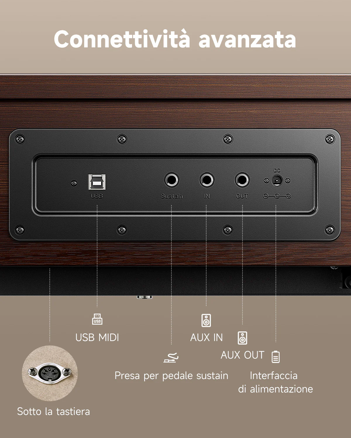 【Scatola aperta】Donner OURA™ R300 Pianoforte digitalein stile casalingo - Image 20